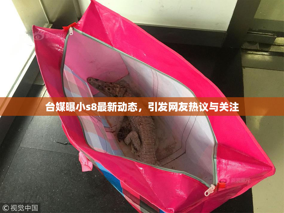 台媒曝小s8最新动态，引发网友热议与关注