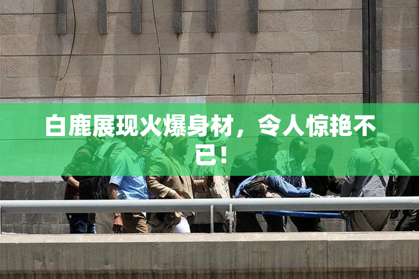 白鹿展现火爆身材，令人惊艳不已！