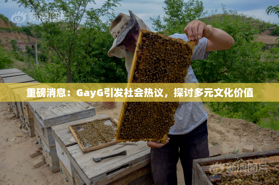 重磅消息：GayG引发社会热议，探讨多元文化价值