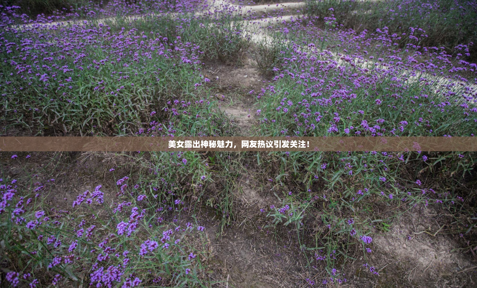 美女露出神秘魅力，网友热议引发关注！