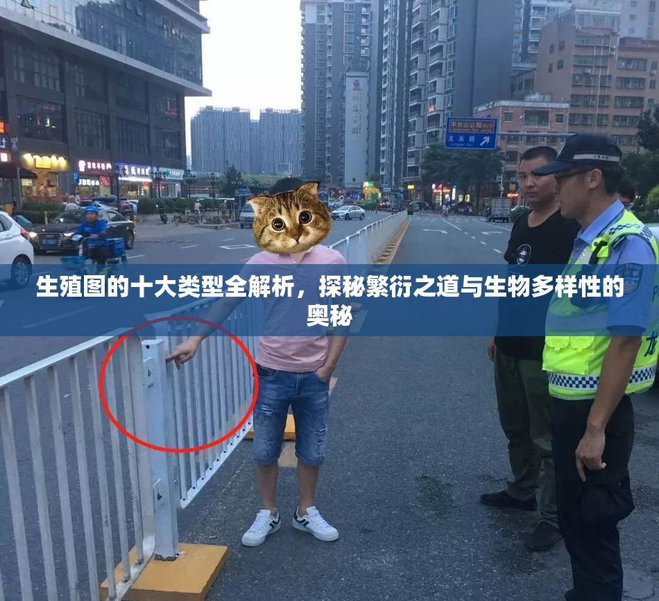 生殖图的十大类型全解析，探秘繁衍之道与生物多样性的奥秘
