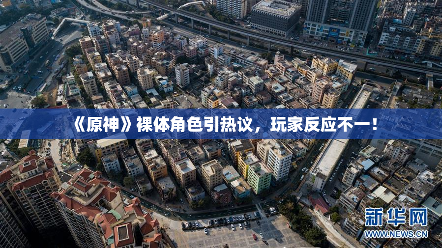 《原神》裸体角色引热议，玩家反应不一！