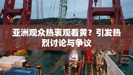 亚洲观众热衷观看黄？引发热烈讨论与争议