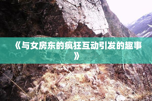 《与女房东的疯狂互动引发的趣事》