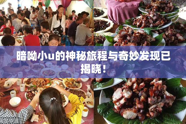 暗呦小u的神秘旅程与奇妙发现已揭晓！