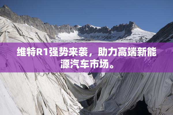 维特R1强势来袭，助力高端新能源汽车市场。