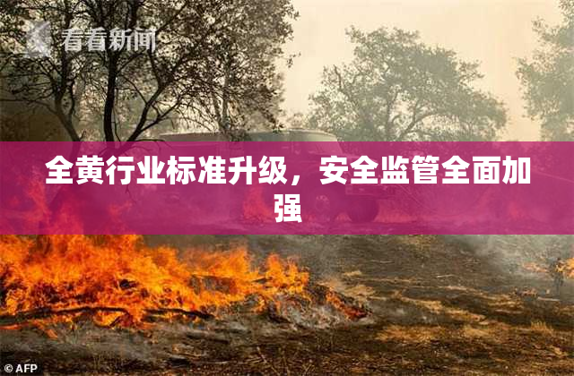 全黄行业标准升级，安全监管全面加强