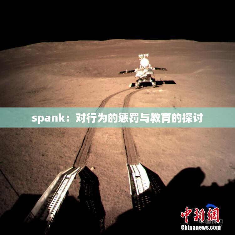 spank：对行为的惩罚与教育的探讨