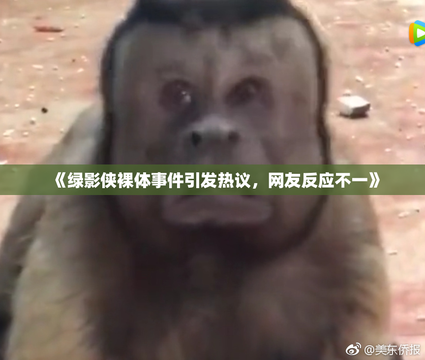 《绿影侠裸体事件引发热议，网友反应不一》