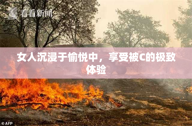 女人沉浸于愉悦中，享受被C的极致体验