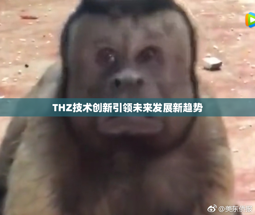 THZ技术创新引领未来发展新趋势