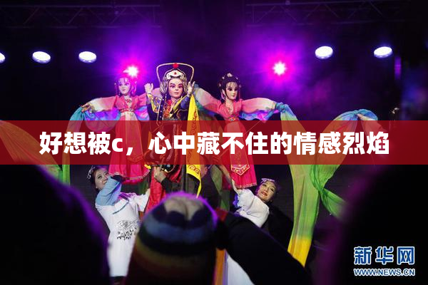 好想被c，心中藏不住的情感烈焰