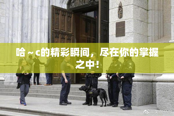 哈～c的精彩瞬间，尽在你的掌握之中！