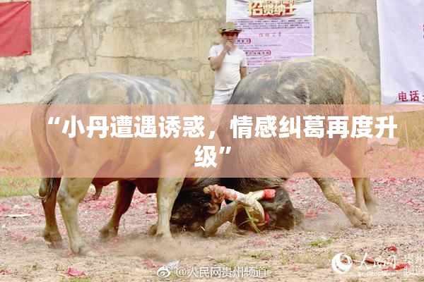 “小丹遭遇诱惑，情感纠葛再度升级”