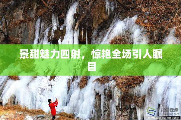 景甜魅力四射，惊艳全场引人瞩目
