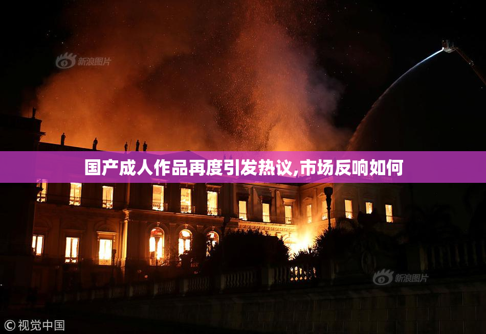 国产成人作品再度引发热议,市场反响如何