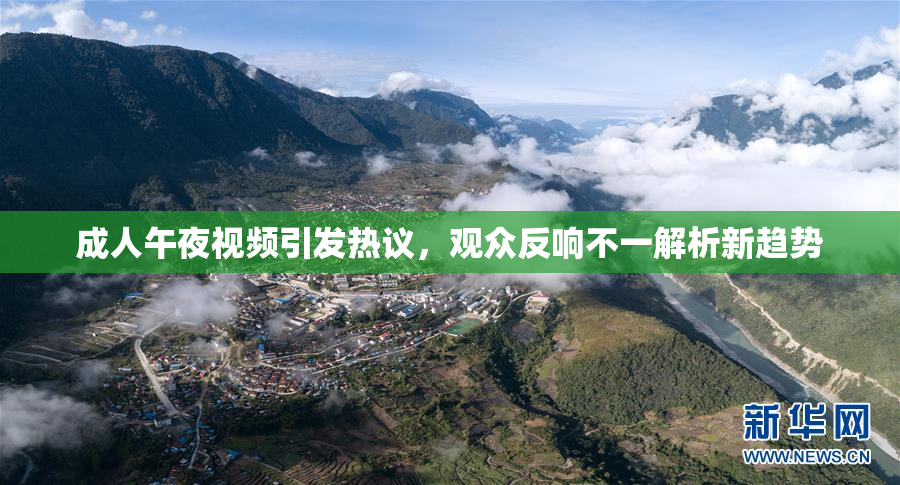 成人午夜视频引发热议，观众反响不一解析新趋势