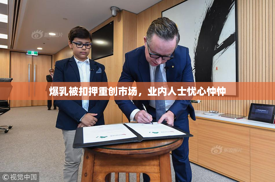 爆乳被扣押重创市场，业内人士忧心忡忡