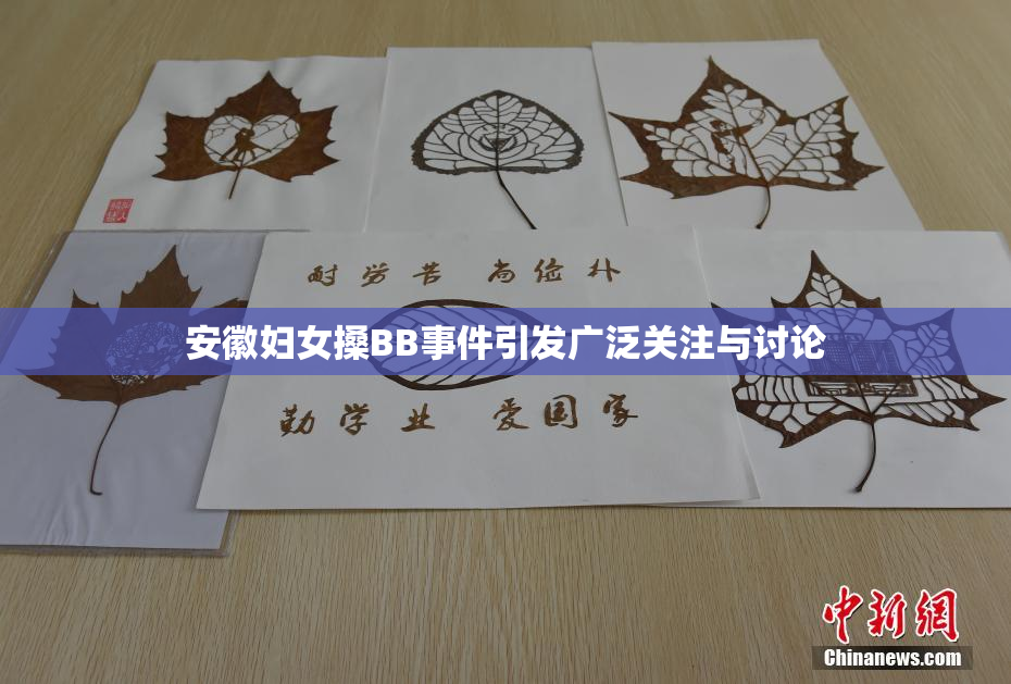 安徽妇女搡BB事件引发广泛关注与讨论