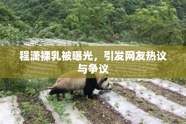 程潇裸乳被曝光，引发网友热议与争议