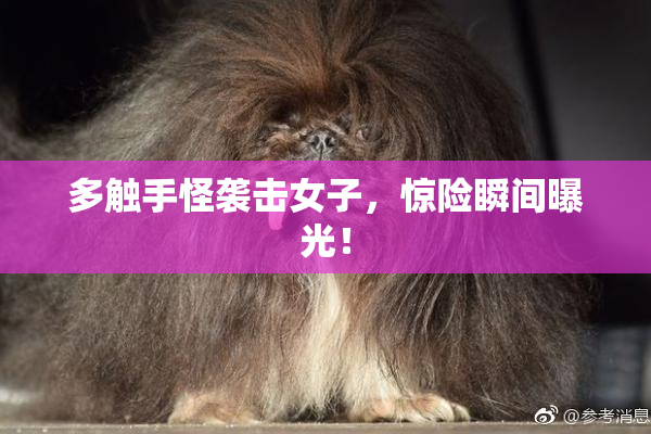 多触手怪袭击女子，惊险瞬间曝光！