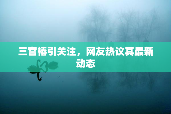 三宫椿引关注，网友热议其最新动态