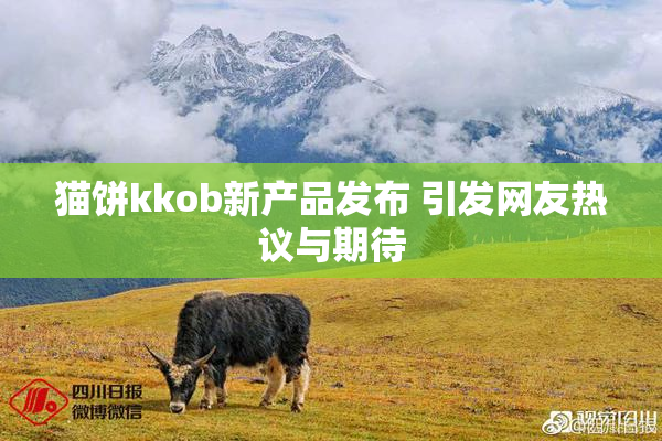 猫饼kkob新产品发布 引发网友热议与期待