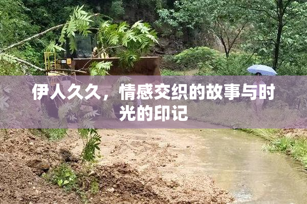 伊人久久，情感交织的故事与时光的印记