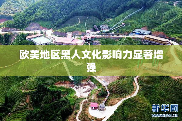 欧美地区黑人文化影响力显著增强