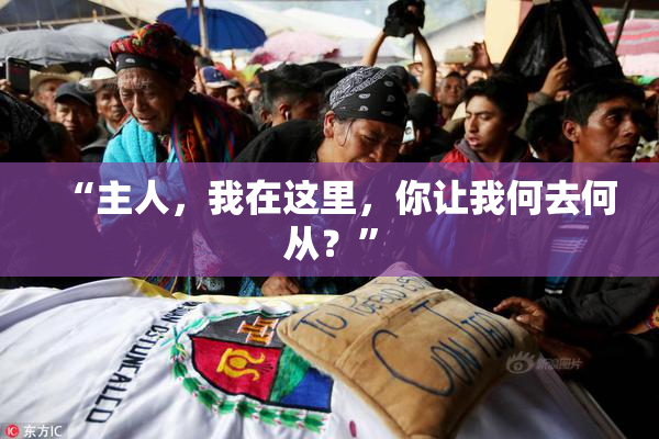 “主人，我在这里，你让我何去何从？”