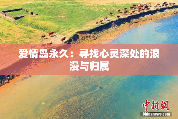 爱情岛永久：寻找心灵深处的浪漫与归属