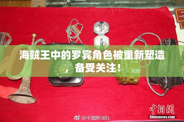海贼王中的罗宾角色被重新塑造，备受关注！