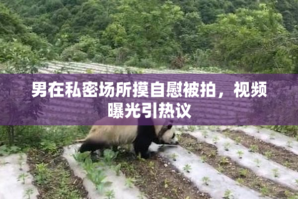 男在私密场所摸自慰被拍，视频曝光引热议