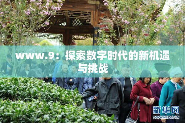 www.9：探索数字时代的新机遇与挑战