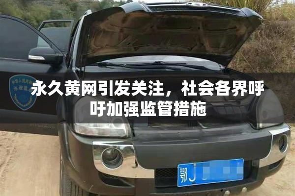 永久黄网引发关注，社会各界呼吁加强监管措施