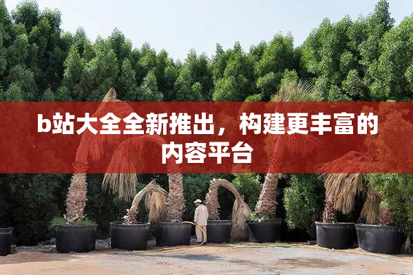 b站大全全新推出，构建更丰富的内容平台