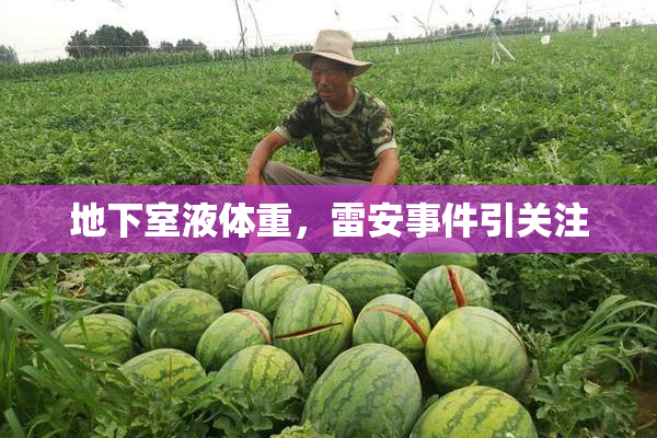 地下室液体重，雷安事件引关注