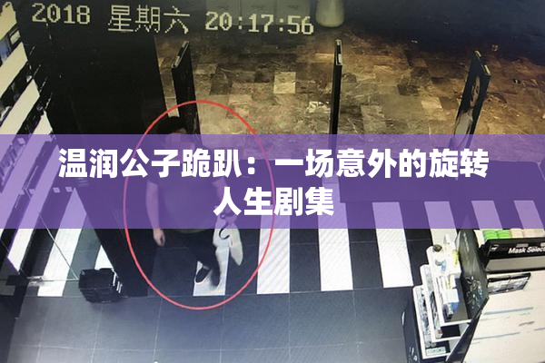 温润公子跪趴：一场意外的旋转人生剧集