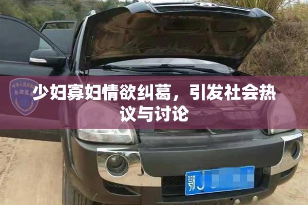 少妇寡妇情欲纠葛，引发社会热议与讨论