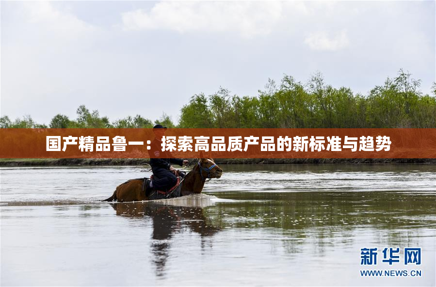 国产精品鲁一：探索高品质产品的新标准与趋势