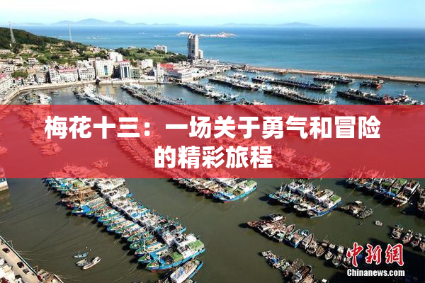 梅花十三：一场关于勇气和冒险的精彩旅程