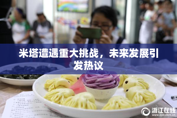 米塔遭遇重大挑战，未来发展引发热议