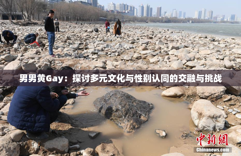 男男黄Gay：探讨多元文化与性别认同的交融与挑战
