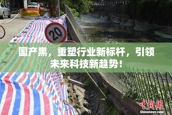 国产黑，重塑行业新标杆，引领未来科技新趋势！