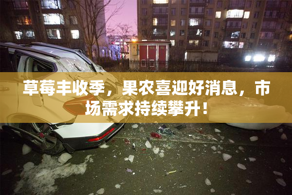 草莓丰收季，果农喜迎好消息，市场需求持续攀升！