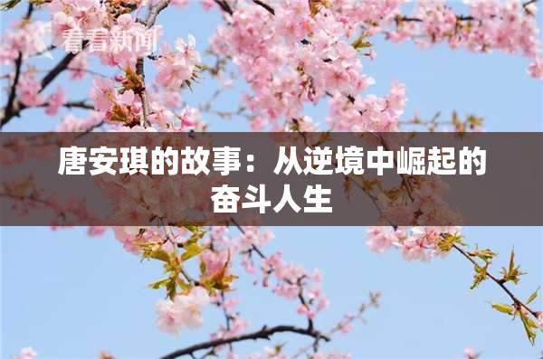唐安琪的故事：从逆境中崛起的奋斗人生