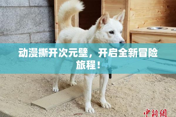 动漫撕开次元壁，开启全新冒险旅程！