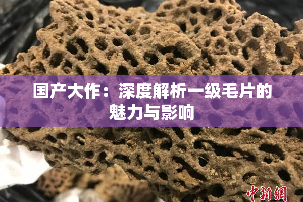 国产大作：深度解析一级毛片的魅力与影响