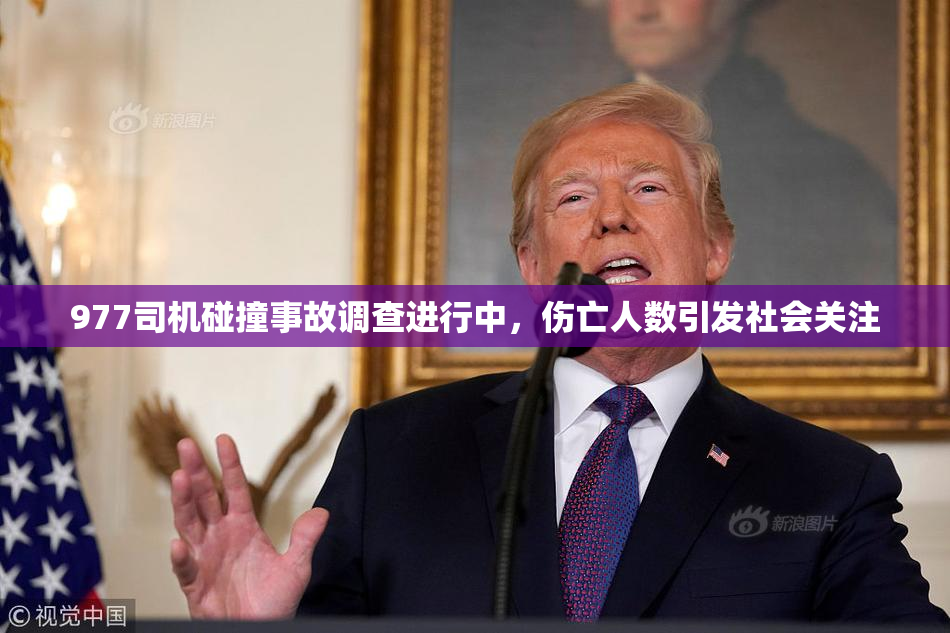 977司机碰撞事故调查进行中，伤亡人数引发社会关注