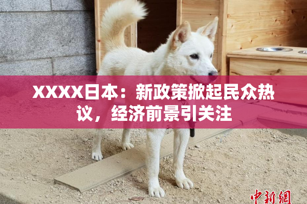 XXXX日本：新政策掀起民众热议，经济前景引关注